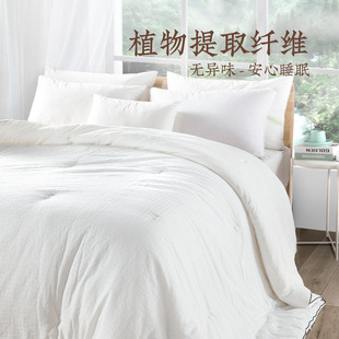 Four Season Home Textile Four Seasons, волокнистый биобархатный энергетический сердечник, посажен домашним стеганым одеялом весной и осенью