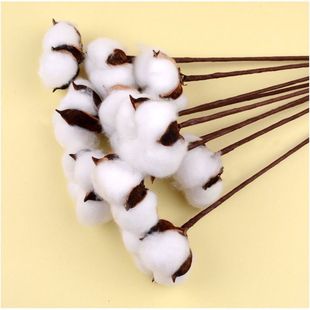 Branches Trunks Kindergarten Children's Handmade Materials Dry Branches Natural Log Dead Branches Dead Branches Ring Chop