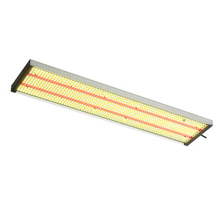 Full spectrum led grow light quantum plate greenhouse planting light fleshy flower fill light Plant Growth light