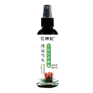 Hongyun Dangtou Nutrient Solution Indoor White Palm Red Palm Hongyun Dangtou Flower Fertilizer Potted Soil Hydroponic Universal Fertilizer