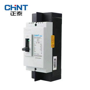 Chint Molded CAse Circuit BreAker DZ15 PlAstic CAse Air Protection Switch 2p 100A 63A 40A