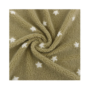 In stock embroidered lambswool grain Kirin velvet embroidered five-pointed star flannel home clothes bedding sofa toy fabric
