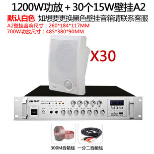 SAST/Schenko A2 wall-mounted speaker store broadcasting room ceiling set background music speaker restaurant audio