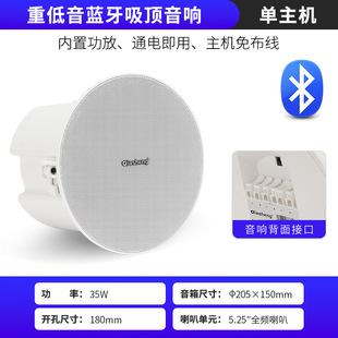 Qiasheng PT3 wireless Bluetooth ceiling speaker subwoofer ceiling speaker store dedicated embedded ceiling speaker