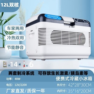 Medicine-releasing Mini Refrigerator Insulin Growth Hormone Vaccine Refrigerator Household Mini Medicine Incubator Charging Portable