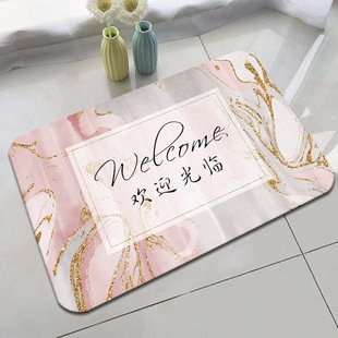 Cross-border Ins Floor Mat Nordic Simple Crystal Velvet Carpet Bathroom Entrance Door Mat Home Entrance Door Mat