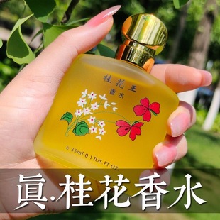 Classic old osmanthus perfume fresh light fragrance for men and women lasting 72 hours rose jasmine fragrance