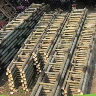 bamboo ladder straight ladder rice rice household electric power engineering straight ladder kindergarten bamboo ladder rural bungalow ladder