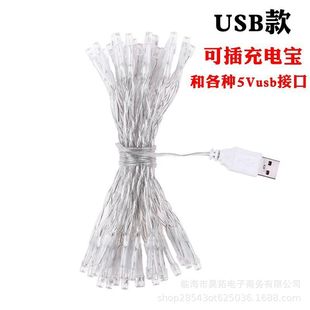 PVC line led 2 section 3 section USB constant light timing flashing 8 function battery box Christmas holiday decoration light string