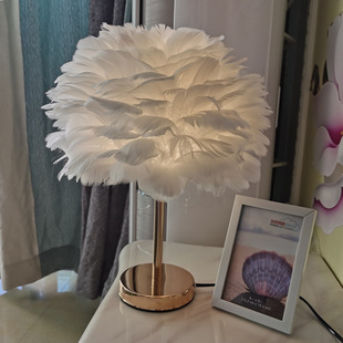 Feather lamp bedroom gold pole simple Nordic style white ins feather lamp creative bedside wedding feather table lamp