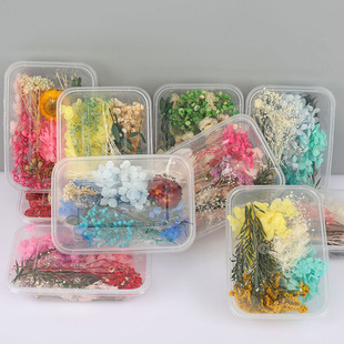 Eternal Flower Material Bag Dried Flower diy Material Handmade Candle Fan Glass Cover Photo Frame Embossed Glue Drop Flower Material Bag