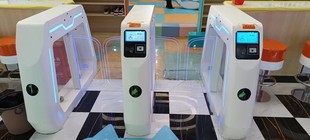 Ворота парка ворота детского сада ворота бабочки парк небольшие ворота качания