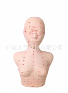 Skin Management Head Model Beauty Dummy Head Head Model Beauty Model Head Face Massage Light Headband Shoulder