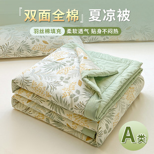 Summer Cool Quilt Class A Maternal and Infant Grade Pure Cotton Quilt Summer Thin Air-conditioning Quilt Household Summer Quilt All Cotton Washable Quilt Core