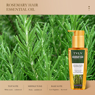 Cross-border TVLV rosemary hair care essential oil rice puree Moroccan lasting fragrance batana hair care essential oil
