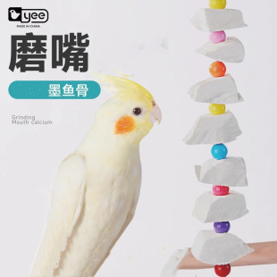 yee cuttlefish bone Xuanfeng tiger skin peony parrot calcium molars supplies bird snacks hanging string bite toy