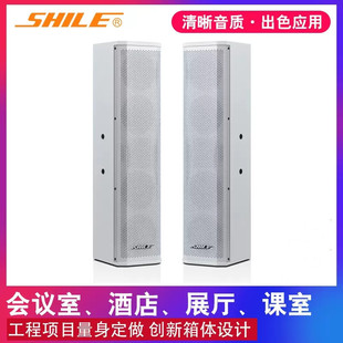 Lion Music BX-406 Conference Speaker Wall-mounted Triangle Bracket Sound Column Hotel Background Music Multifunctional Exhibition Hall
