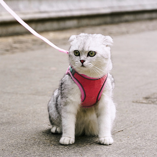 Cat Harness Vest Style Reflective Anti-breakaway Cat Walking Rope Mesh Breathable Pet Supplies Factory Spot Wholesale