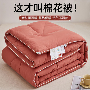 Xinjiang Cotton Quilt Core Winter Quilt Winter Thickened Warm Pure Cotton Quilt Core Single Spring and Autumn Quilt