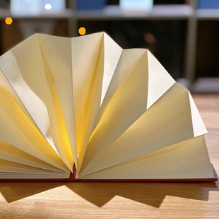 Stamped this collection book travel memorial this city series notes customs clearance document dark pattern three-dimensional hollow book