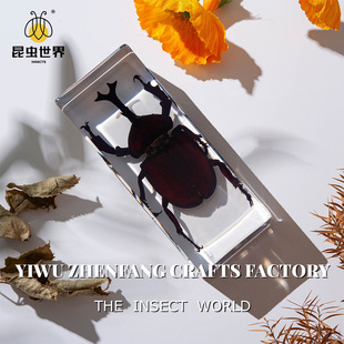 Viking square technology cross-border wholesale real insect specimens high permeability resin amber large acrylic ornaments embedded