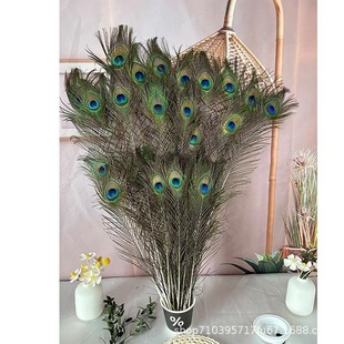 Plastic Art Iridescent Lustrous Peacock Hair Big Eyes Feather Flower Vase Flower Earrings Jewelry Peacock Feather Fan