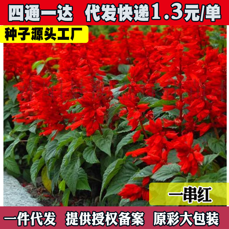 hydro plant pots Hydroponic Planter Pot