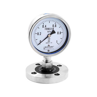 YTP-100BF-ML/MF stainless steel diaphragm pressure gauge threaded link flange connection Shanghai Tianchuan