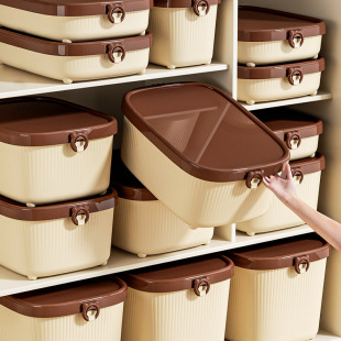 Storage Box Desktop with Lid Plastic Sundries Cosmetic Box Rectangular Storage Basket Storage Box Fit Box