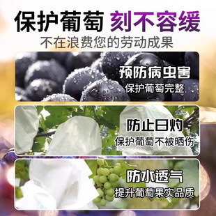 Disposable Non-woven Fruit Bag Grape Pear Fruit Protection Bag Insect-proof Bird-proof Rain-proof Fruit Bag