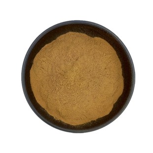 Platycladi Seed Extract 50:1 Platycladi Seed Powder in stock Wholesale Health Products Raw Material Water Soluble Platycladi Seed Extract
