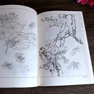 Hundred Fish Painting Sketch Chinese Painting Line Drawing Lin Xishan/Lin Peiming Painting Line Drawing Goldfish Carp Atlas Copy Template