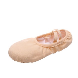 Ballet Dance Shoes Girls' Children's Soft Sole Lace-up Free Professional Fleshy Cloth Head Test Grade Wholesale Latin Dance Shoes