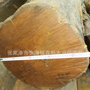 Zhemu golden sandalwood huanghuali mulberry zhe grain is beautiful and stable, boxwood is a substitute for golden wood