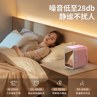 Car Beauty Makeup Refrigerator Multifunctional Makeup Mirror Mini Refrigerator Car Home Dual-Use Skin Care Mask Refrigerator