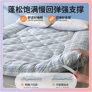 ✅ Class a Xinjiang Cotton Quilt, Cotton Batting Mattress, Soft Cushion, Tatami Mat, Student Dormitory Mattress Batch