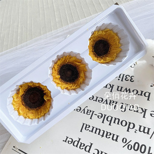Eternal Flower Sunflower Teddy Gerbera DIY Handmade Gift Items Glass Cover Photo Frame Decorative Painting Ping Pong Chrysanthemum