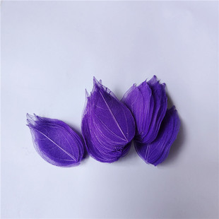 King Kong Vein Dried Flowers Leaf Shape 100 Pieces A Pack of Class A Color Leaf Bookmark Specimen Eternal Flowers