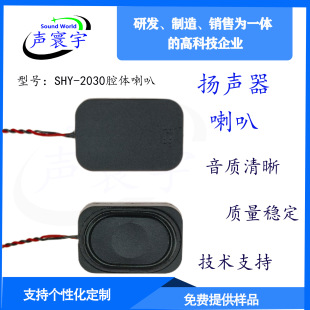 3020 cavity speaker intelligent voice broadcast fingerprint lock intelligent helmet doorbell 2030 sound cavity speaker