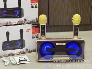 Трансграничный новый SD301S беспроводной Bluetooth динамик двойной микрофон K песня все в одном на открытом воздухе портативный K песня стереосистема