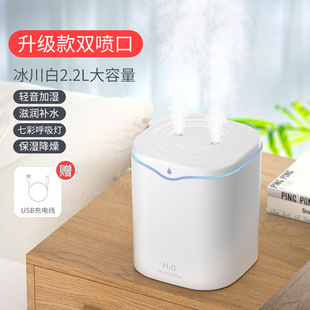 Новый 2,2 л двойной распылитель увлажнитель USB Spray Mute бытовой Мини Ароматерапия очиститель воздуха Набор подарочных продуктов