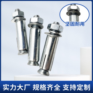 Expansion screw wholesale spot M8M10M12 galvanized expansion bolt expansion wire expansion pull explosion expansion screw
