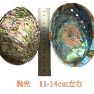 white sage peru holy wood blue sage cedar all kinds of tala abalone shell and so on white sage