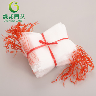 Insect-Proof net insect-proof bag melon fruit fruit fly-proof bird-proof bag strainer soaking grape fruit bagging nylon mesh bag
