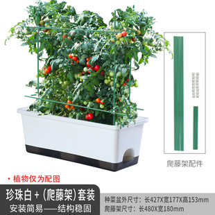 Olinze special basin for growing vegetables balcony vegetable basin plastic resin vegetable basin self-absorbing balcony lazy people vegetable basin