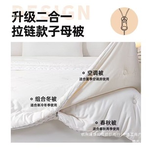 Silk Quilt Two-in-One Zipper Soybean Fiber Quilt Core Student Quilt Thick Winter Quilt Plain Elegant White Pure Cotton