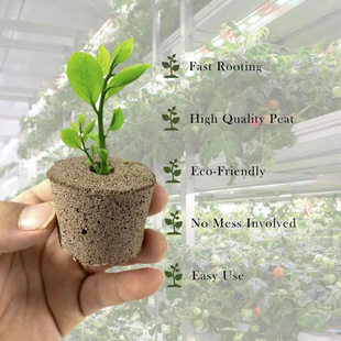 Cross-border garden hydroponic growth soilless sponge seed block planting machine soilless seed charcoal cotton big round table