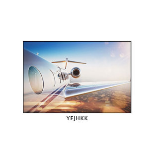 Aircraft Airliner Decorative Painting Modern Simple Airline Sky Hanging Painting Living Room Study Bedroom Background Wall Mural