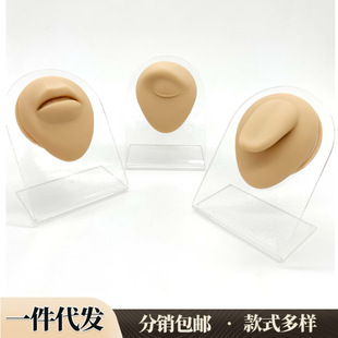 Silicone ear model puncture piercing model nose nail tongue nail navel nose nail training swing racket display tool