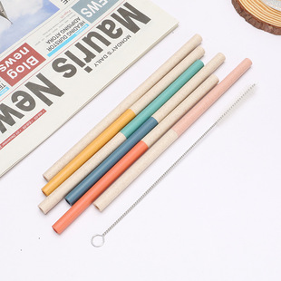 Creative wheat straw straw suit detachable straw portable two straw juice drink travel portable straight tube